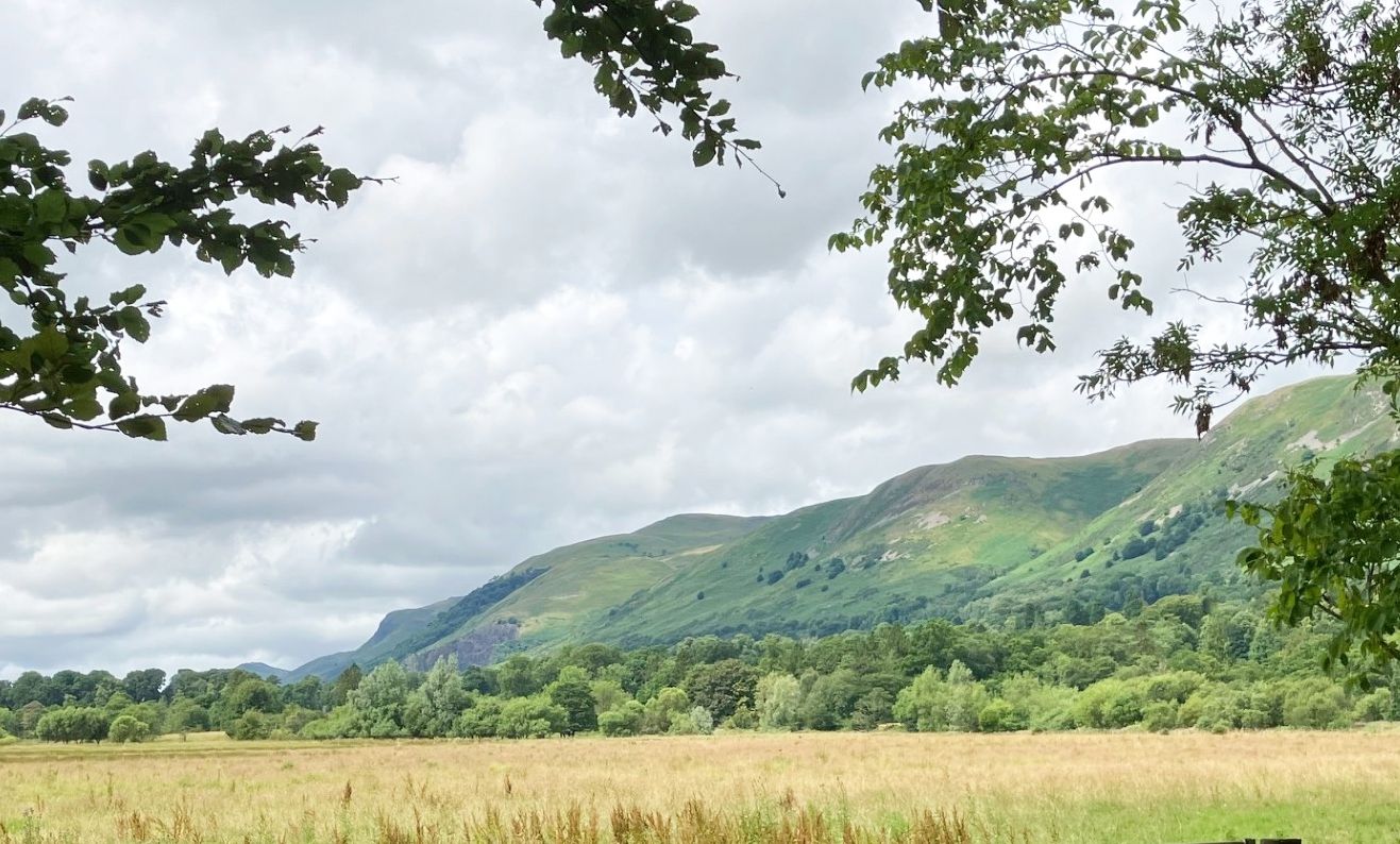 South face of the hills